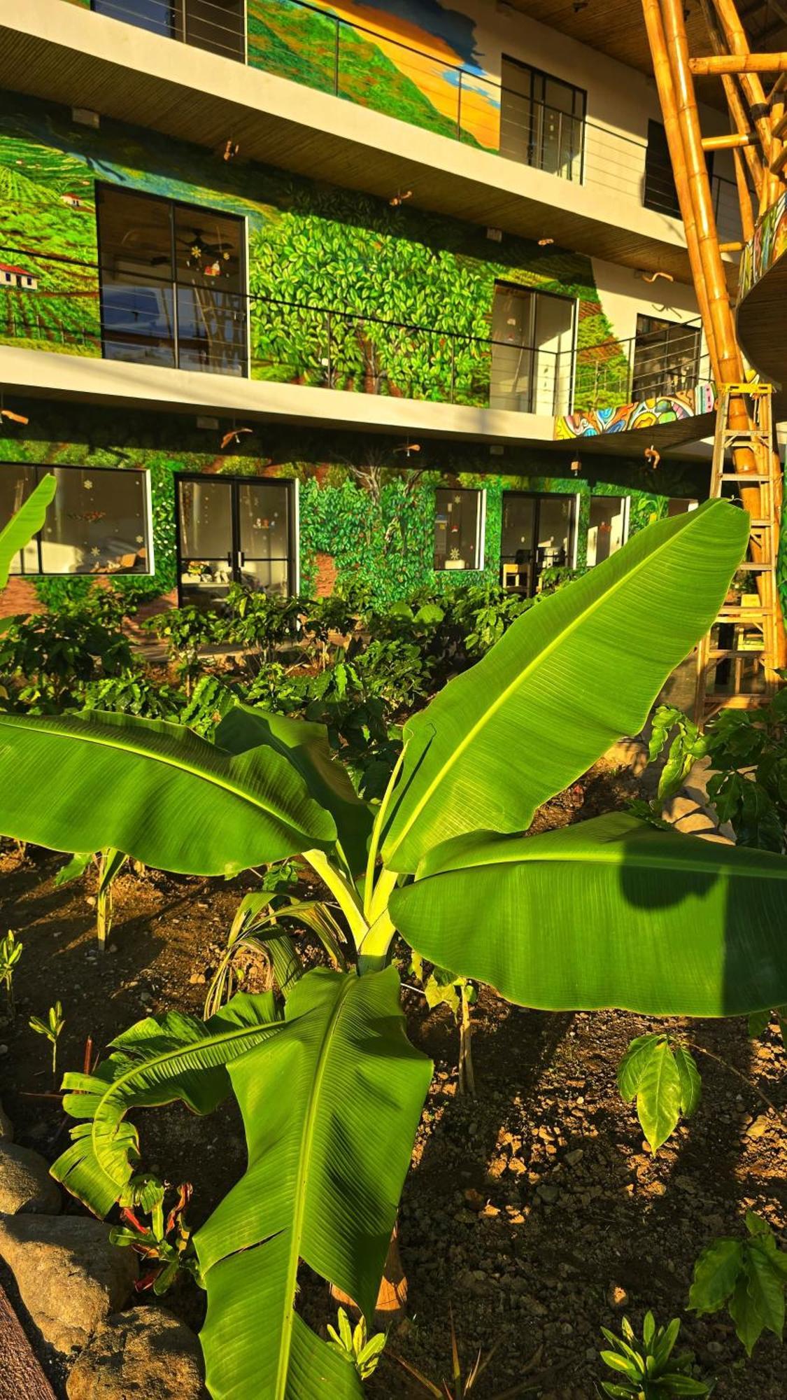 Bonding Coffee Roaster Cafe & Hotel Quepos Exteriör bild